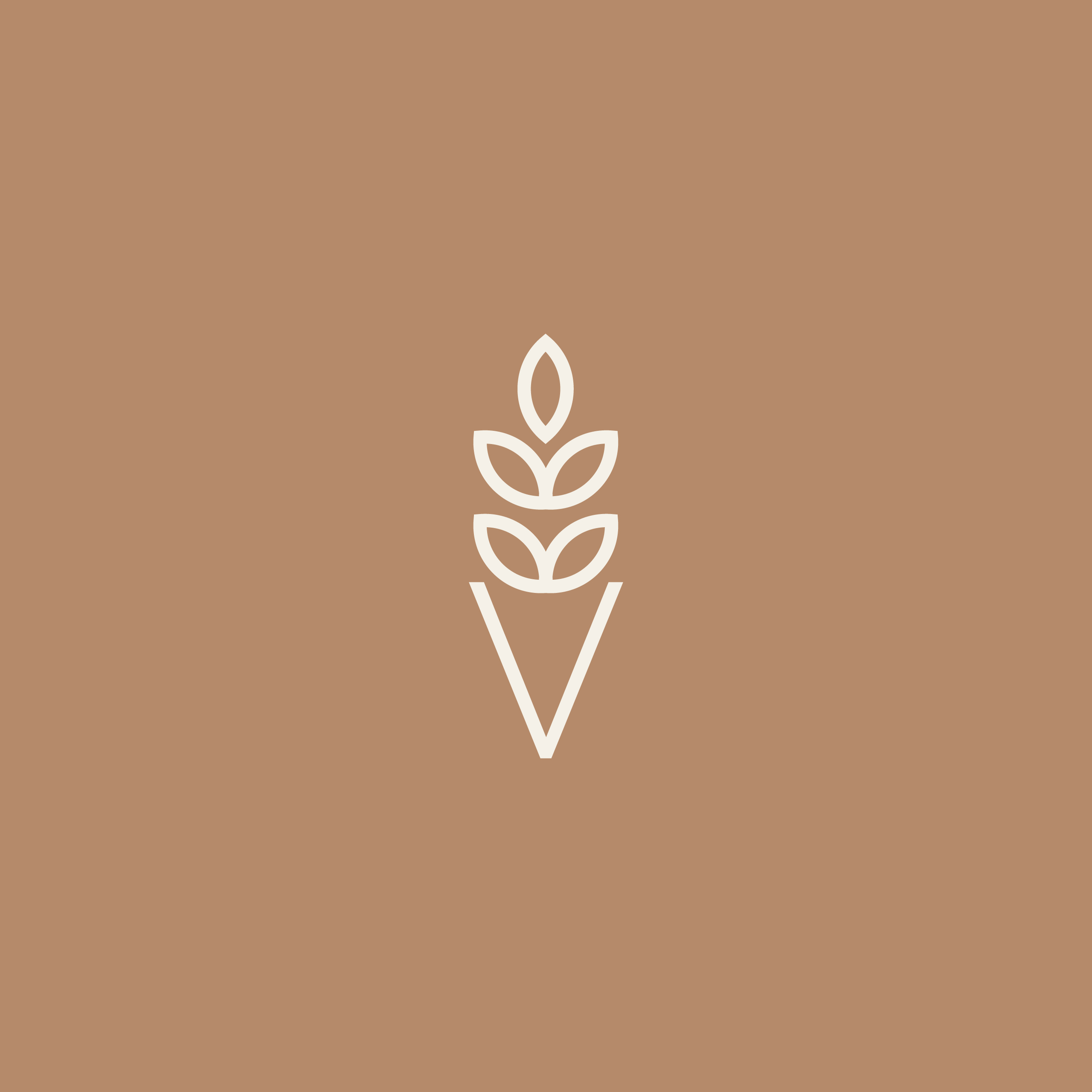 Logo Arroz Para Bodas color