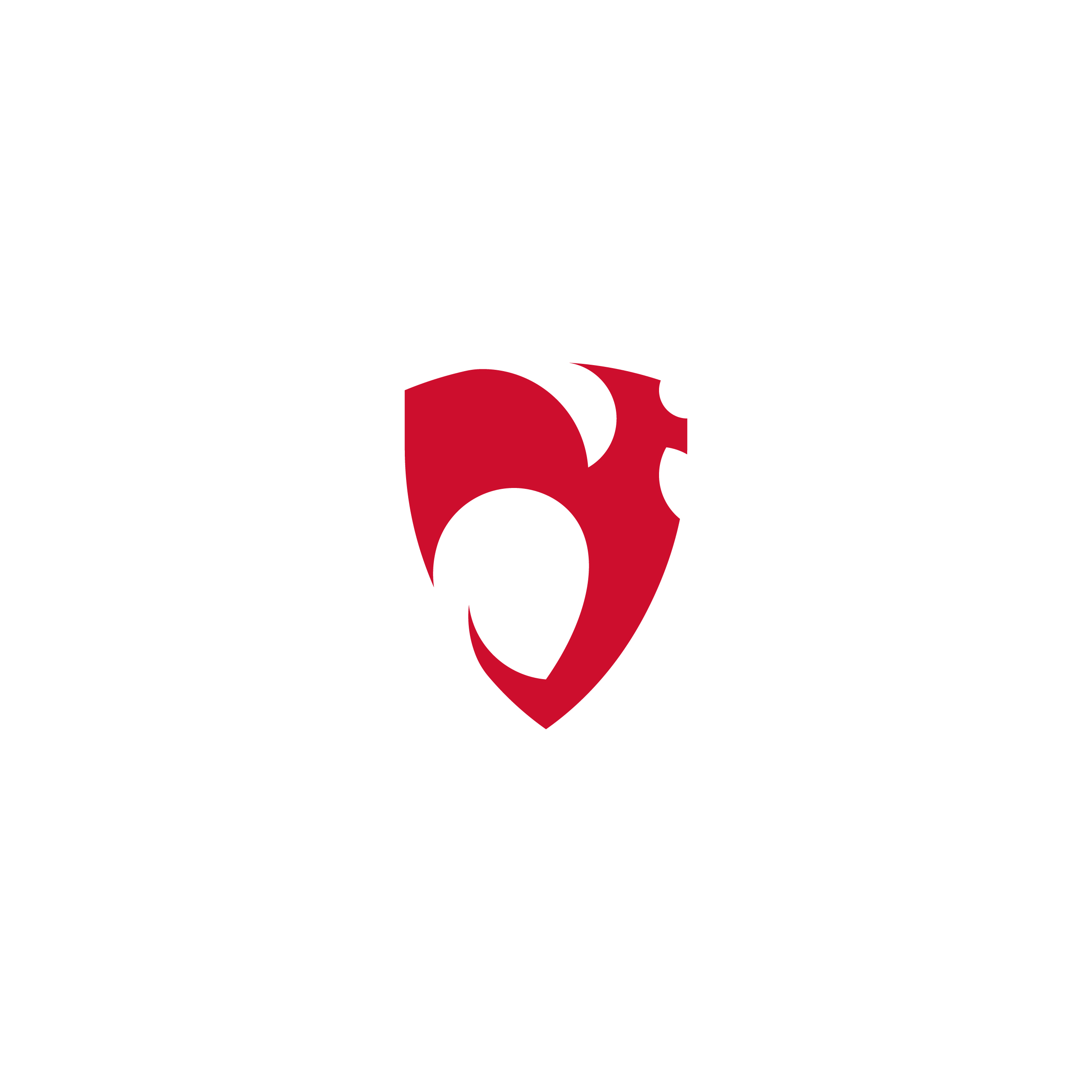 Logo Nizvos color
